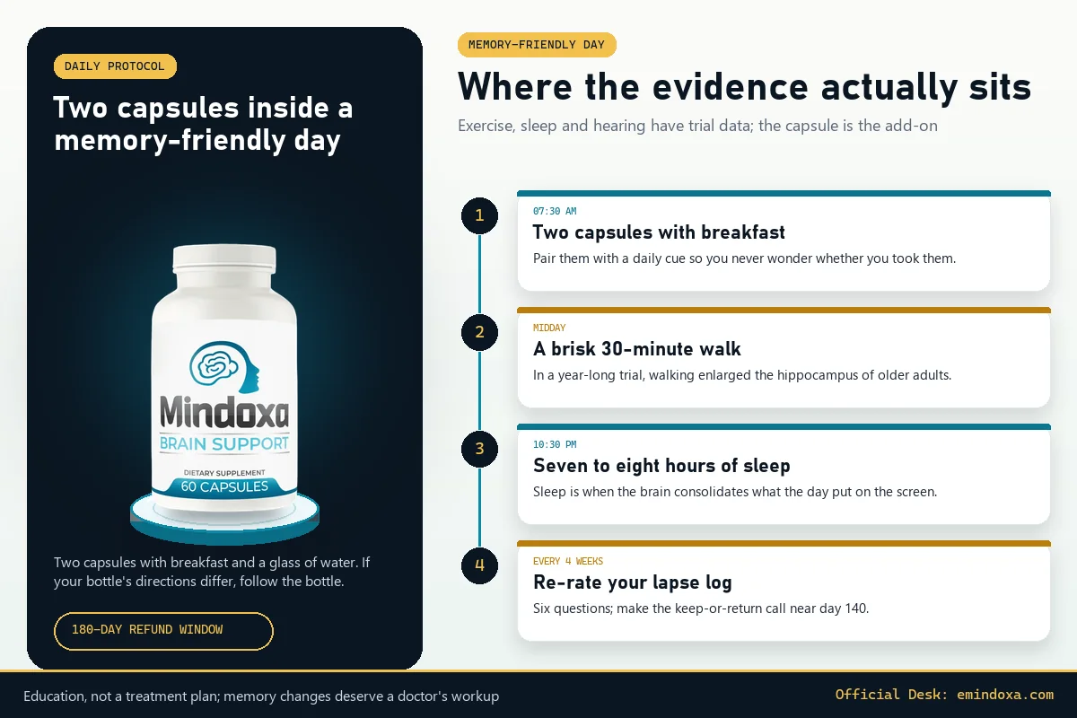 Mindoxa daily routine: the bottle in an obsidian panel, two capsules with breakfast, a midday 30-minute walk, seven to eight hours of sleep, and re-rating the lapse log every four weeks